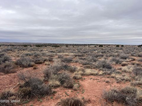 Tiny photo for 9594 Buckskin Trail, Snowflake, AZ 85937 (MLS # 259576)