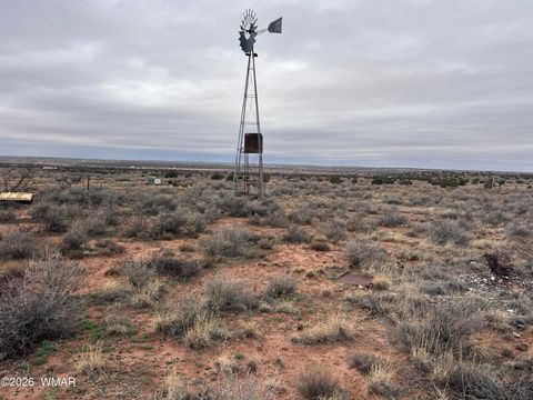 Tiny photo for 9594 Buckskin Trail, Snowflake, AZ 85937 (MLS # 259576)