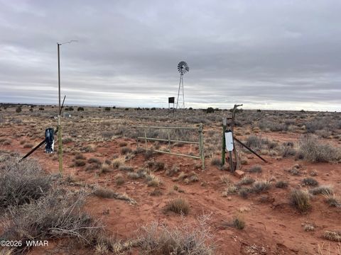 Tiny photo for 9594 Buckskin Trail, Snowflake, AZ 85937 (MLS # 259576)