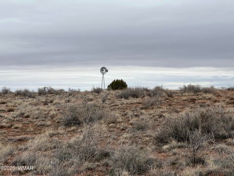Tiny photo for 9594 Buckskin Trail, Snowflake, AZ 85937 (MLS # 259576)