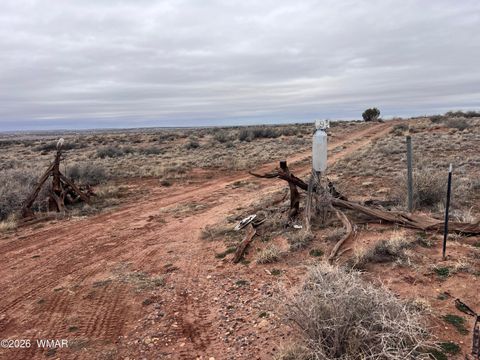 Tiny photo for 9594 Buckskin Trail, Snowflake, AZ 85937 (MLS # 259576)