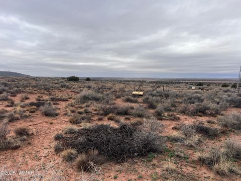 Tiny photo for 9594 Buckskin Trail, Snowflake, AZ 85937 (MLS # 259576)