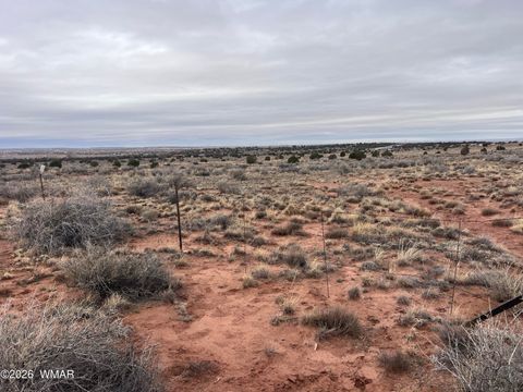 Tiny photo for 9594 Buckskin Trail, Snowflake, AZ 85937 (MLS # 259576)