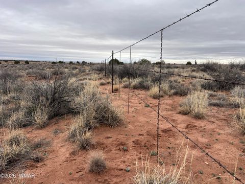 Tiny photo for 9594 Buckskin Trail, Snowflake, AZ 85937 (MLS # 259576)