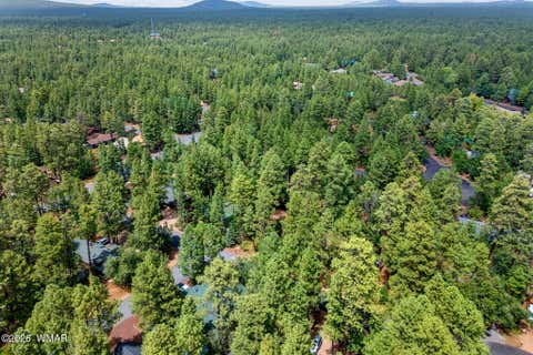 Tiny photo for 6048 Pitch Fork Lane, Pinetop, AZ 85935 (MLS # 262601)
