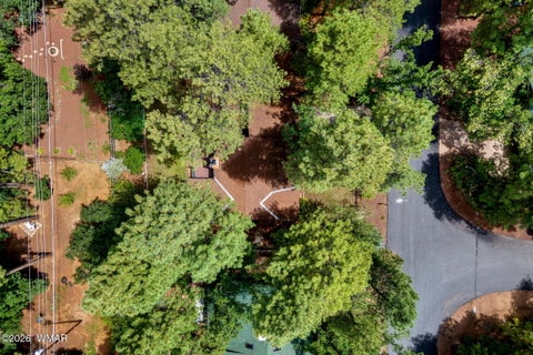 Tiny photo for 6048 Pitch Fork Lane, Pinetop, AZ 85935 (MLS # 262601)