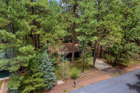 Tiny photo for 6048 Pitch Fork Lane, Pinetop, AZ 85935 (MLS # 262601)