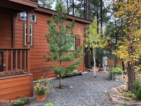 Tiny photo for 4520 S Elk Trot Loop, Show Low, AZ 85901 (MLS # 258394)