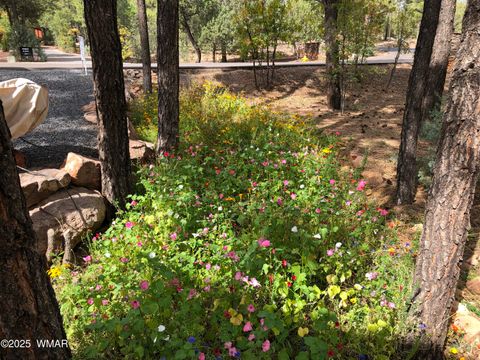 Tiny photo for 4520 S Elk Trot Loop, Show Low, AZ 85901 (MLS # 258394)