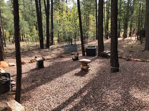 Tiny photo for 4520 S Elk Trot Loop, Show Low, AZ 85901 (MLS # 258394)