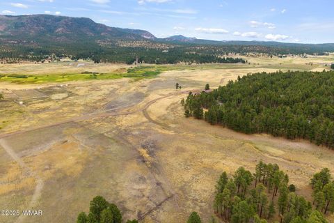 Tiny photo for 3 County Rd. N2157, Alpine, AZ 85920 (MLS # 257261)