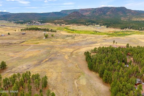 Tiny photo for 3 County Rd. N2157, Alpine, AZ 85920 (MLS # 257261)