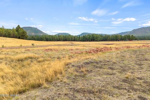 Tiny photo for 3 County Rd. N2157, Alpine, AZ 85920 (MLS # 257261)