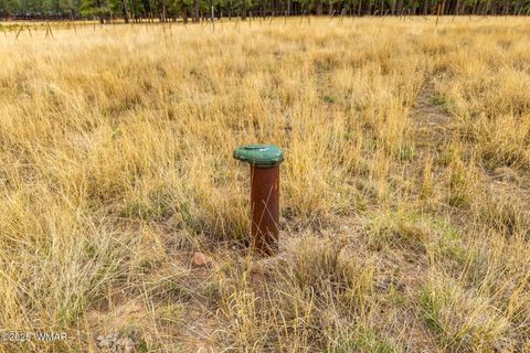 Tiny photo for 3 County Rd. N2157, Alpine, AZ 85920 (MLS # 257261)
