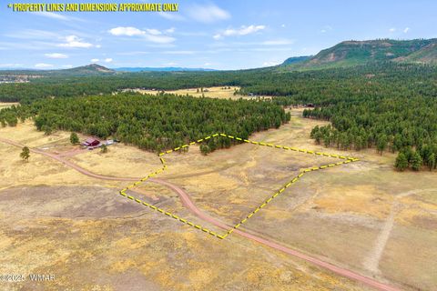 Photo of 3 County Rd. N2157, Alpine, AZ 85920 (MLS # 257261) Photo of 3 County Rd. N2157, Alpine, AZ 85920 (MLS # 257261)