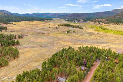 Tiny photo for 3 County Rd. N2157, Alpine, AZ 85920 (MLS # 257261)