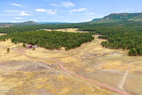 Tiny photo for 3 County Rd. N2157, Alpine, AZ 85920 (MLS # 257261)