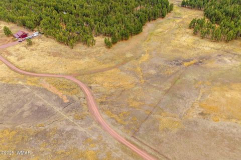 Tiny photo for 3 County Rd. N2157, Alpine, AZ 85920 (MLS # 257261)