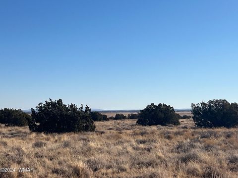 Tiny photo for 8539 Terry Trail, Snowflake, AZ 85937 (MLS # 254012)