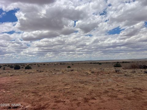 Tiny photo for 8539 Terry Trail, Snowflake, AZ 85937 (MLS # 254012)