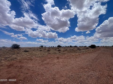 Tiny photo for 8539 Terry Trail, Snowflake, AZ 85937 (MLS # 254012)