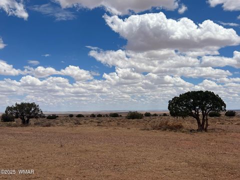 Tiny photo for 8539 Terry Trail, Snowflake, AZ 85937 (MLS # 254012)