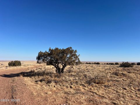 Tiny photo for 8539 Terry Trail, Snowflake, AZ 85937 (MLS # 254012)