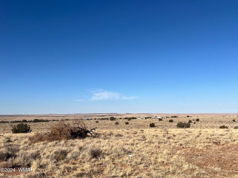 Tiny photo for 8539 Terry Trail, Snowflake, AZ 85937 (MLS # 254012)