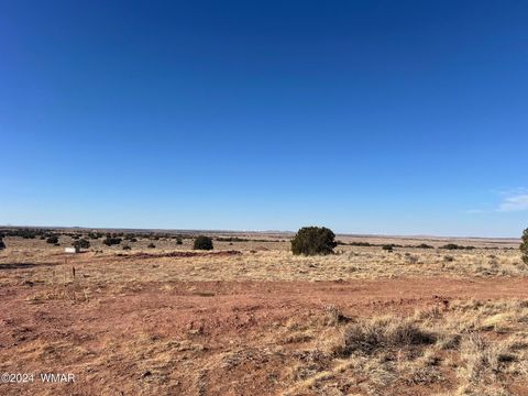Tiny photo for 8539 Terry Trail, Snowflake, AZ 85937 (MLS # 254012)