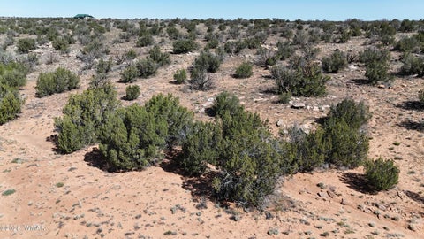 Photo of TBD N Mountain Highlands Boulevard, Snowflake, AZ 85937 (MLS # 260708)