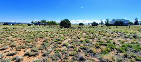 Tiny photo for 1291 S Cherry Court, Taylor, AZ 85939 (MLS # 257975)