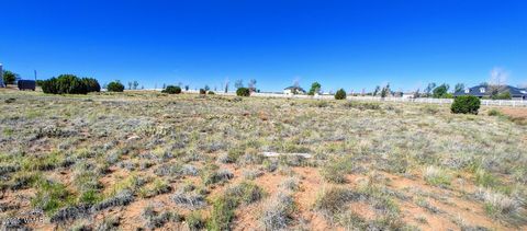 Tiny photo for 1291 S Cherry Court, Taylor, AZ 85939 (MLS # 257975)