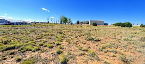 Tiny photo for 1291 S Cherry Court, Taylor, AZ 85939 (MLS # 257975)