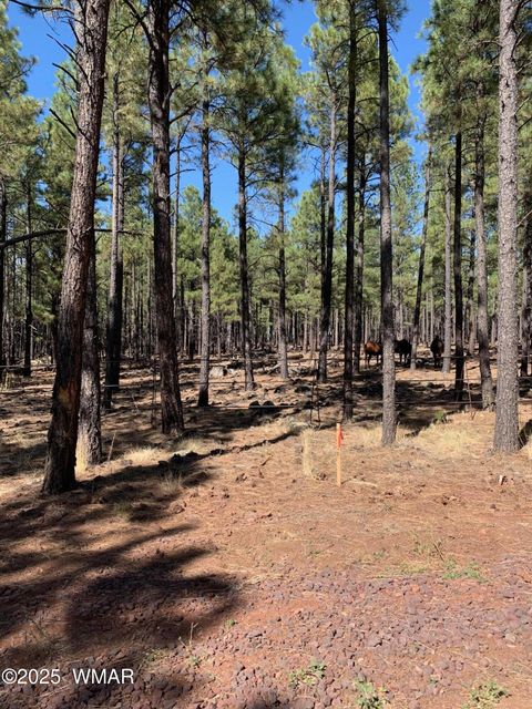 Tiny photo for tbd-2 dynamite, Lakeside, AZ 85929 (MLS # 256399)