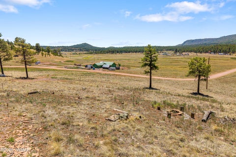 Tiny photo for 32 The Ranch at Alpine, Alpine, AZ 85920 (MLS # 261622)