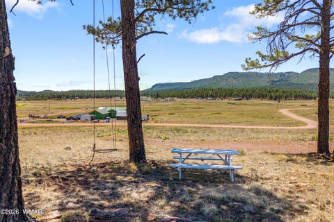 Tiny photo for 32 The Ranch at Alpine, Alpine, AZ 85920 (MLS # 261622)