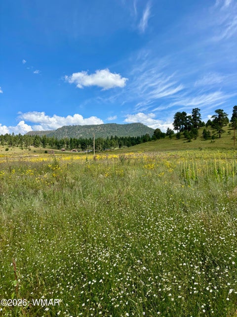 Photo of 32 The Ranch at Alpine, Alpine, AZ 85920 (MLS # 261622)