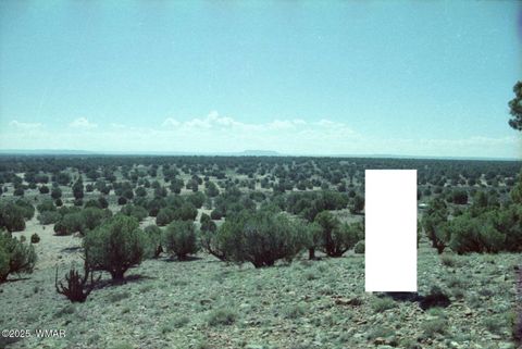 Photo of 27 N 9204, Concho, AZ 85924 (MLS # 258321)