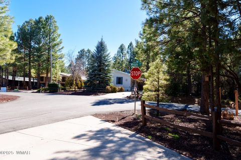 Tiny photo for 3000 W Whipple Street, Show Low, AZ 85901 (MLS # 258816)