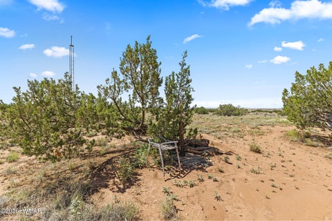 Tiny photo for 67 N6402, Saint Johns, AZ 85936 (MLS # 262439)