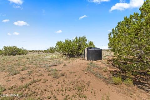 Tiny photo for 67 N6402, Saint Johns, AZ 85936 (MLS # 262439)