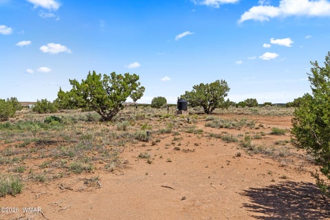 Tiny photo for 67 N6402, Saint Johns, AZ 85936 (MLS # 262439)