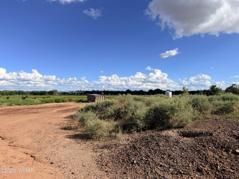 Tiny photo for 000 Highway 77, Taylor, AZ 85939 (MLS # 263197)