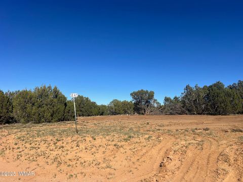 Tiny photo for 96 CR3041, Concho, AZ 85924 (MLS # 258981)