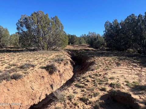 Tiny photo for 96 CR3041, Concho, AZ 85924 (MLS # 258981)