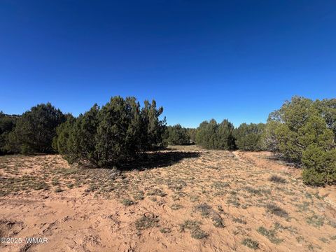 Tiny photo for 96 CR3041, Concho, AZ 85924 (MLS # 258981)