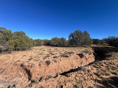 Tiny photo for 96 CR3041, Concho, AZ 85924 (MLS # 258981)