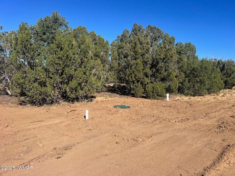 Tiny photo for 96 CR3041, Concho, AZ 85924 (MLS # 258981)