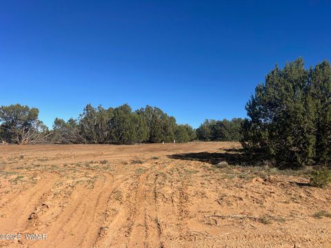 Tiny photo for 96 CR3041, Concho, AZ 85924 (MLS # 258981)