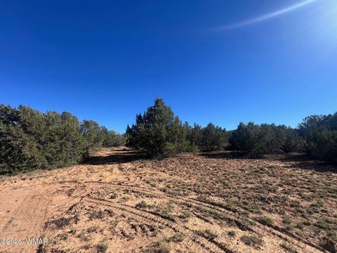 Tiny photo for 96 CR3041, Concho, AZ 85924 (MLS # 258981)